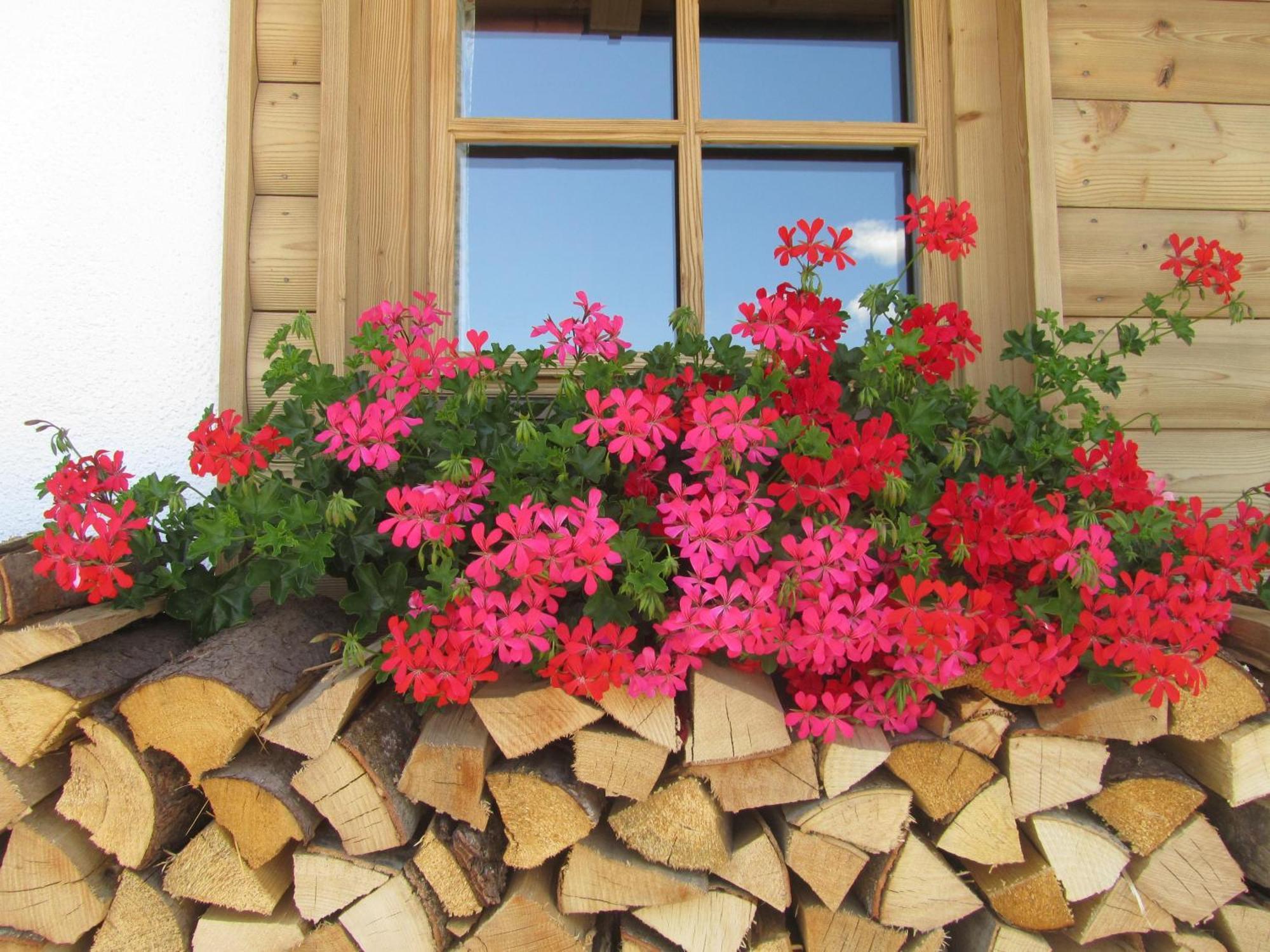 Hotel Garni Bavaria Ellmau Exterior foto